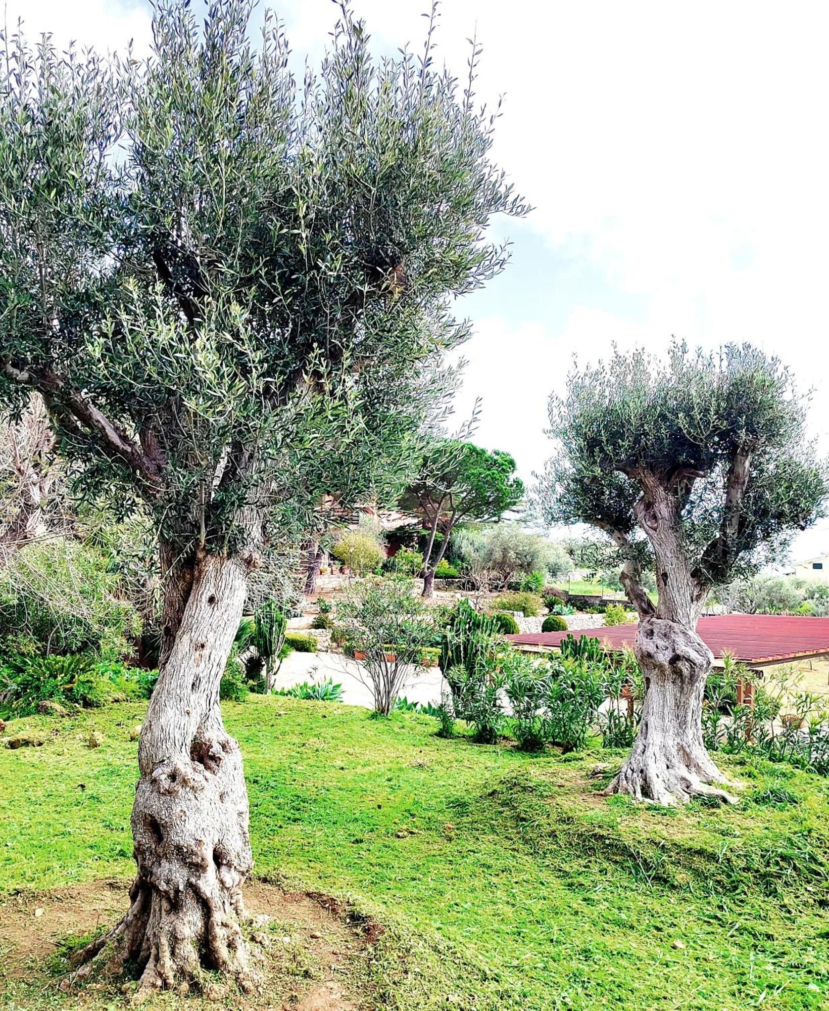 Villa Orizzonte Sullo Jonio Avola Exterior foto